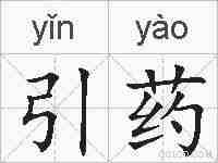 引药的拼音