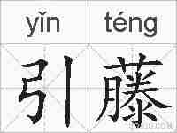 引藤的拼音