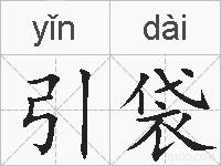 引袋的拼音