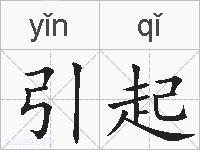 引起的拼音