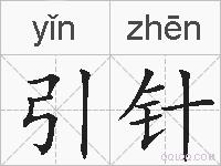 引针的拼音
