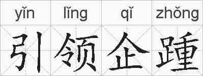 引领企踵的拼音