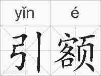 引额的拼音