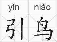引鸟的拼音