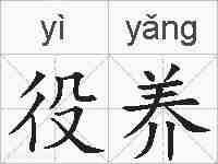 役养的拼音
