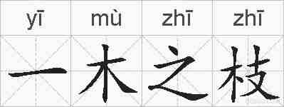 一木之枝的拼音