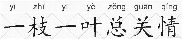 一枝一叶总关情的拼音