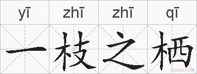 一枝之栖的拼音