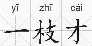 一枝才的拼音