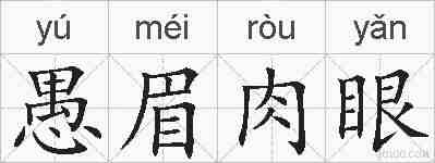 愚眉肉眼的拼音