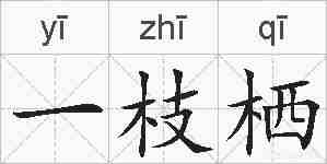 一枝栖的拼音