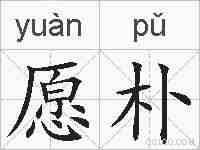 愿朴的拼音
