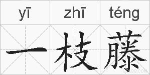一枝藤的拼音