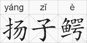 扬子鳄的拼音