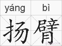 扬臂的拼音