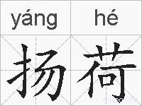 扬荷的拼音