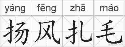 扬风扎毛的拼音