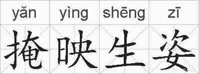掩映生姿的拼音