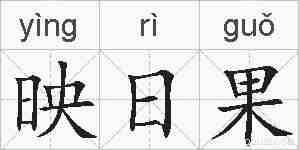 映日果的拼音