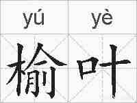 榆叶的拼音