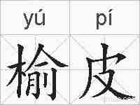 榆皮的拼音