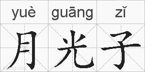 月光子的拼音