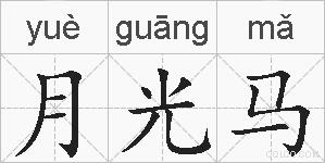 月光马的拼音