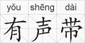 有声带的拼音
