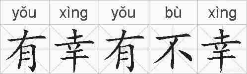 有幸有不幸的拼音