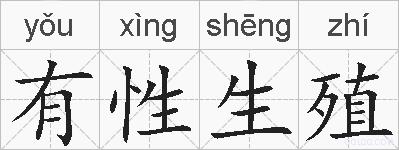 有性生殖的拼音