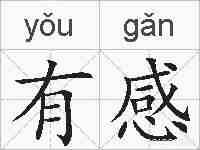 有感的拼音