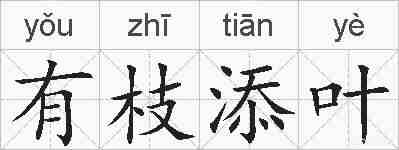 有枝添叶的拼音
