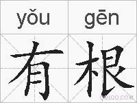 有根的拼音