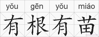 有根有苗的拼音