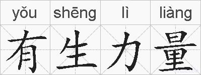 有生力量的拼音