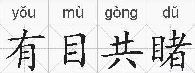 有目共睹的拼音