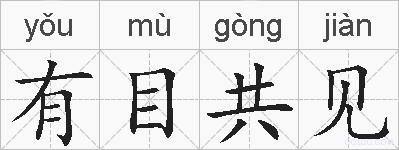 有目共见的拼音