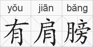 有肩膀的拼音