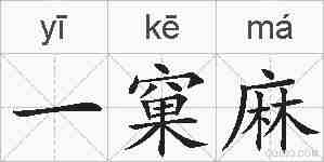 一窠麻的拼音