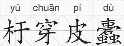 杅穿皮蠹的拼音