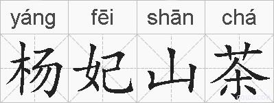 杨妃山茶的拼音
