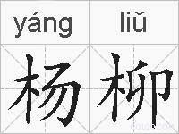 杨柳的拼音
