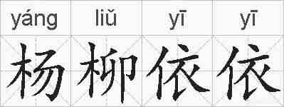 杨柳依依的拼音