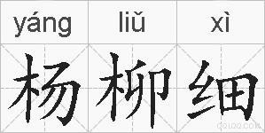 杨柳细的拼音