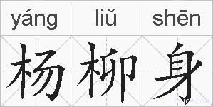 杨柳身的拼音