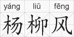 杨柳风的拼音