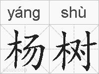 杨树的拼音