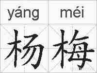 杨梅的拼音