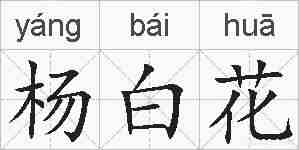 杨白花的拼音
