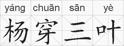 杨穿三叶的拼音